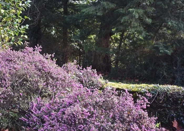 Ferienhaus La Feronniere