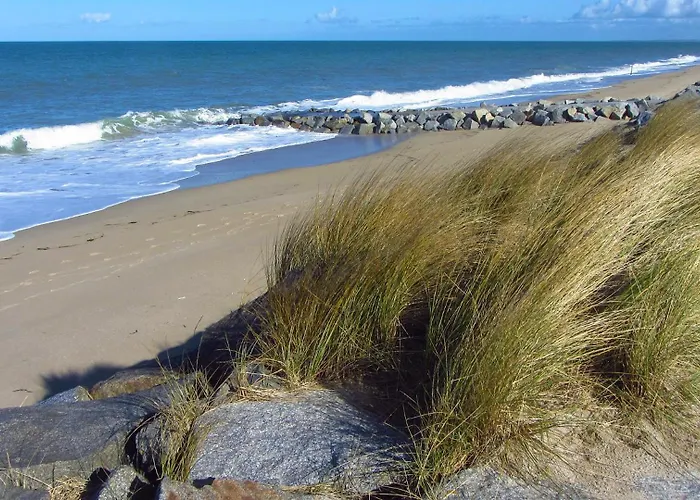 La Feronniere * Le Mesnil-Amand